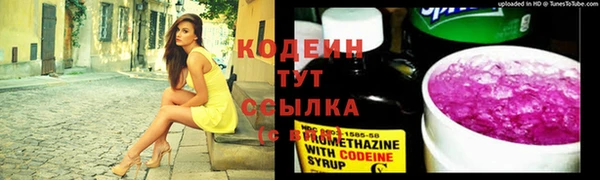 мдпв Вязьма