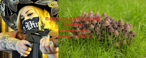 мдпв Вязьма