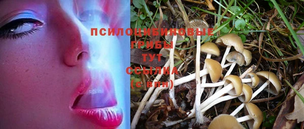 соль ск Вяземский