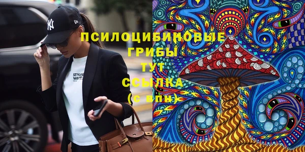 мдпв Вязьма