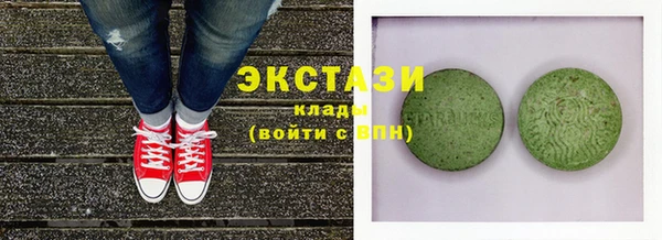 индика Нягань